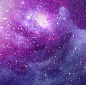 Meet your Posher, Rhiannon